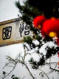 梅花已綻放，姑蘇如詩畫！