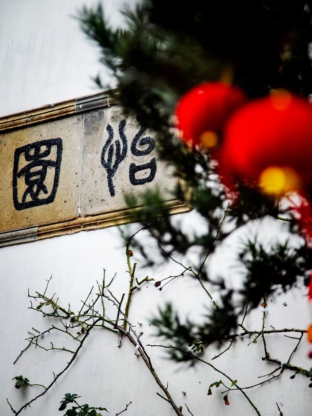 梅花已綻放，姑蘇如詩畫！