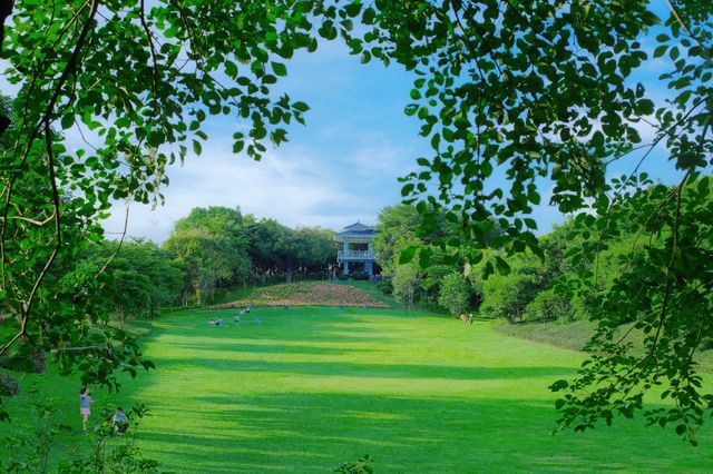 深圳草坪公園天花板，這裡也太chill了吧！！