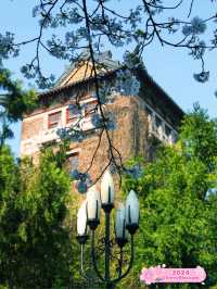 📚🌿Nanjing University: A Historical Haven🏛️