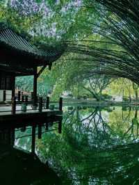 成都棠湖公園「柔枝恰恰語流鶯，西府名花冠蜀城