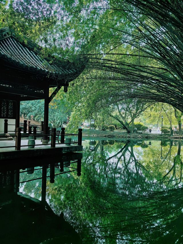 成都棠湖公園「柔枝恰恰語流鶯，西府名花冠蜀城