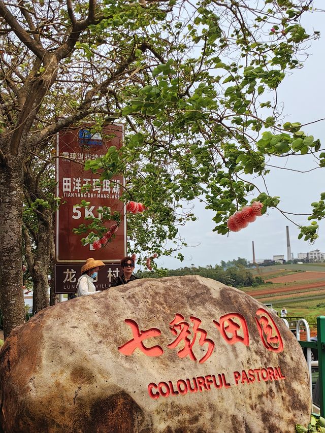玩轉湛江｜菠蘿的海