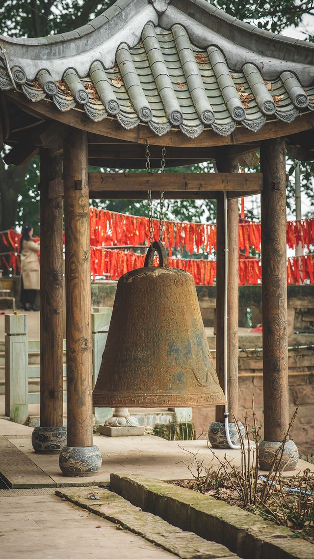 龍年就要去金龍寺！好一個巨大的金色龍頭！