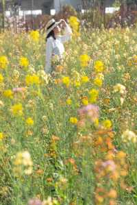 沒錯就在上海市區七彩油菜花美成莫奈花園