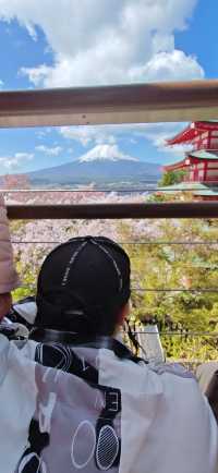 【戀戀櫻花季】新倉山淺間公園：櫻花與神社與富士山絕妙同框