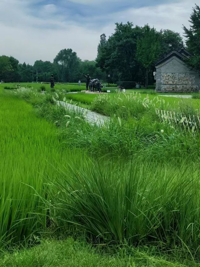 北京免費的神仙公園！現實版綠野仙蹤！