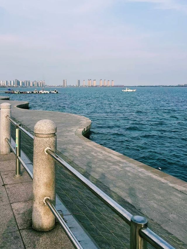 夏日遊玩｜海邊的濕地公園，徒步納涼都不錯