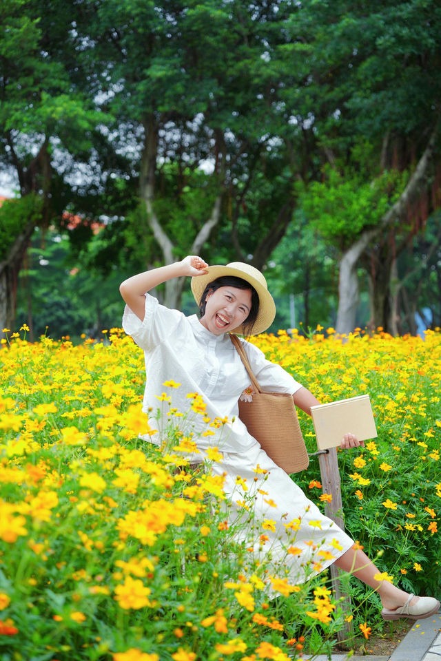 別宣傳浪漫預警！我太愛這片無人花海了