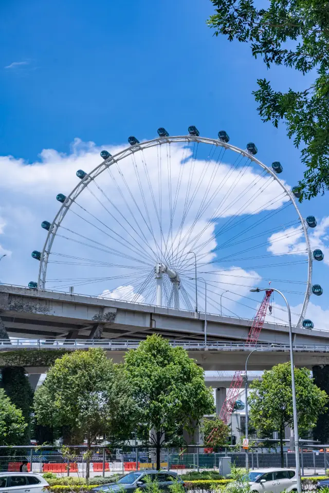 Just got back from 【Singapore】, the airport's free tour is an open book