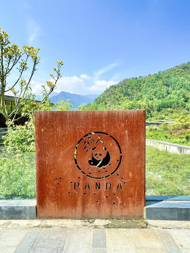川西北｜胖達我來啦·臥龍中華大熊貓苑