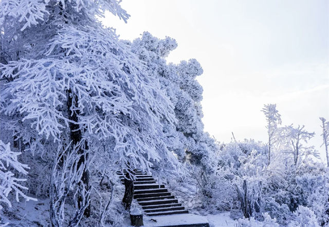 廣東也能看雪啦冰掛霧淞+雲海雪景。