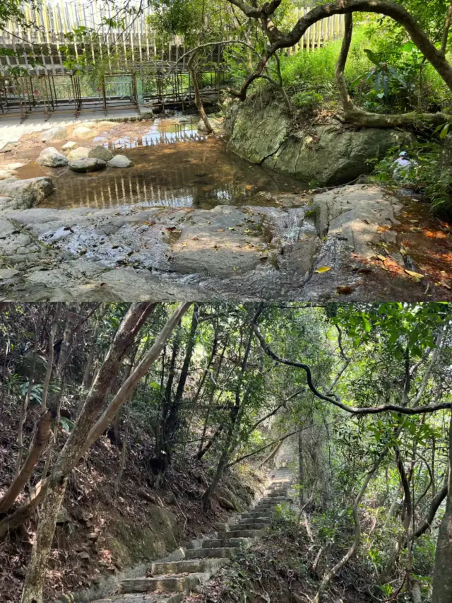 Yangtai Mountain Forest Park (Dalang Entrance)