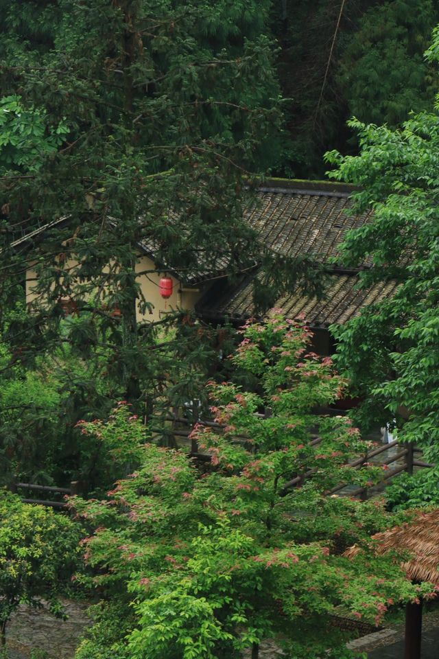 中國最美梯田 云和梯田 中國最美梯田 云和梯田