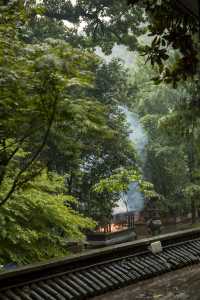 雨天的安吉靈峰寺！別有一番味道
