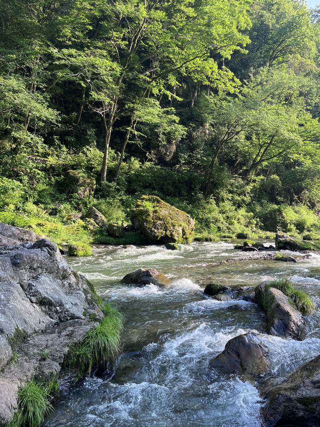 東京隱秘的納涼地去秋川溪谷過夏天