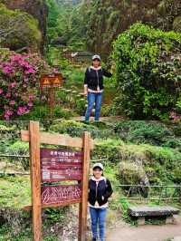 岩石清澈，樹木翠綠，茶香四溢，武夷山國家公園的真實體驗
