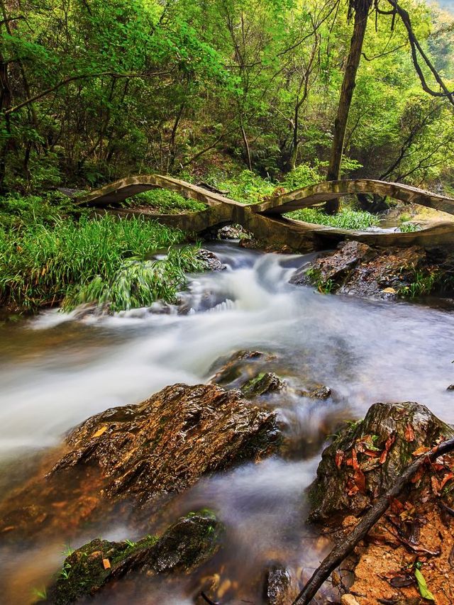 🌊 Explore Wuhan's Watery Wonders: Beaches, Riverbanks & More! 🌅