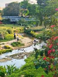 地鐵直達丨INFJ推薦丨廣州6號線上的小眾公園