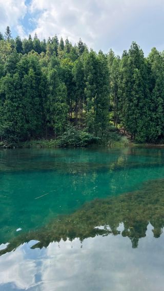 Anshun Underwater Forest | A Hidden Gem for Diving and Paddleboarding