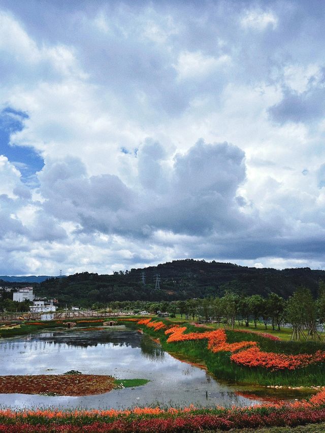 雲南昆明陽宗海｜被昆明遺忘的後花園