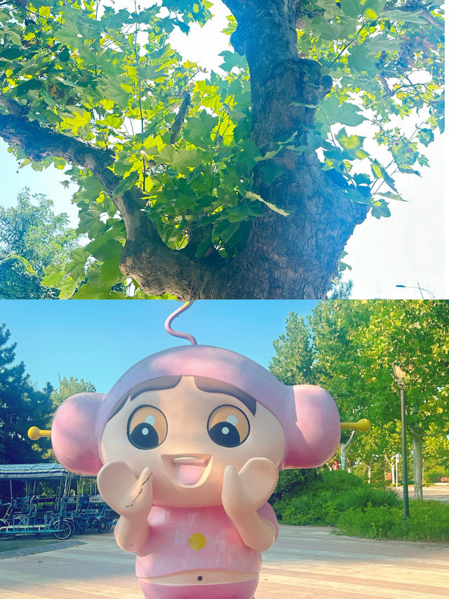 Get美美的威海。