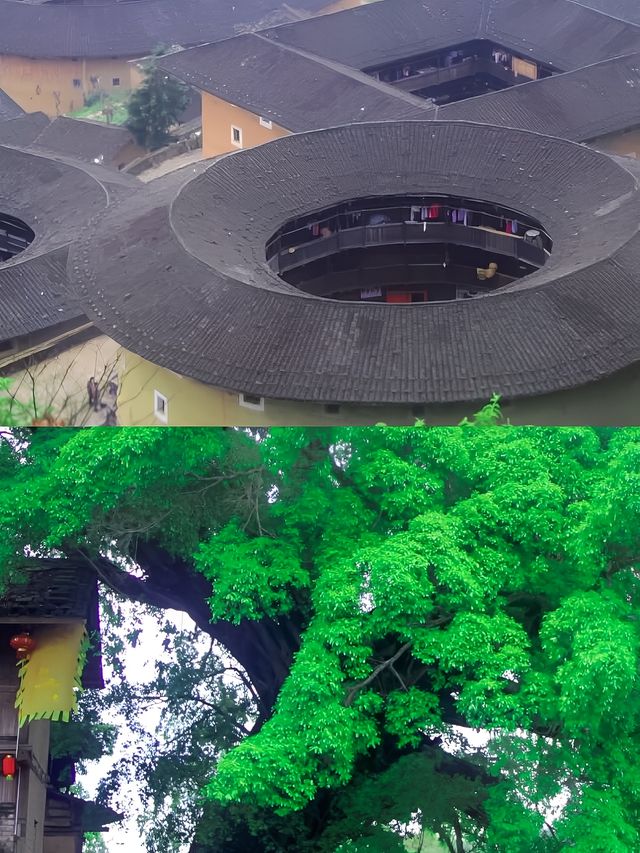 漳州旅遊的注意事項，讓你的旅行更安心！