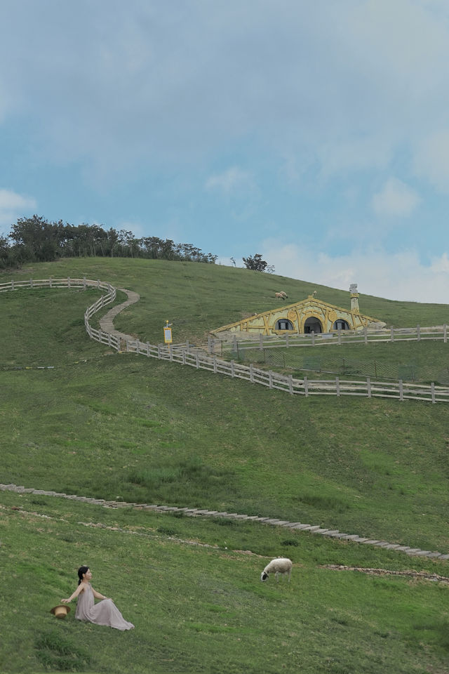 杭州附近的高山草原在秋季限定版變成了一幅美麗的油畫風景!