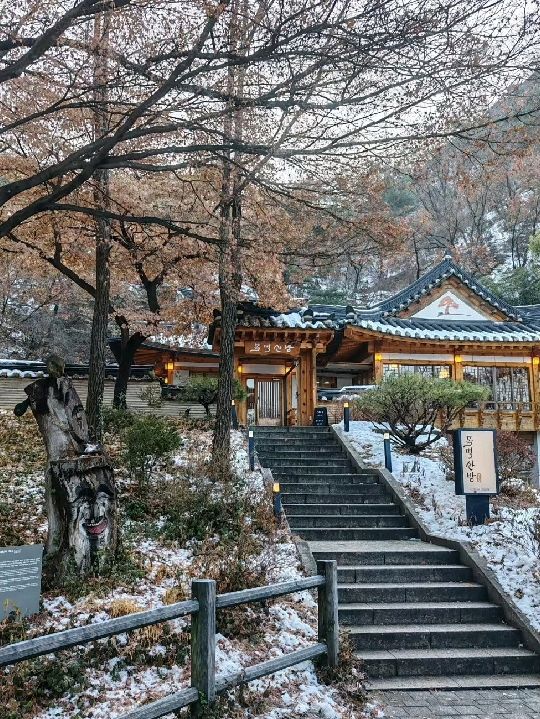 南山公園：城市建築群中的天然大氧吧