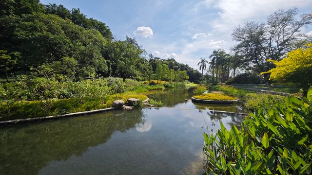 跟我來!一起欣賞新開放的雲溪植物園。