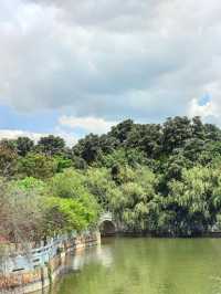玉溪避暑之選：寧州公園。