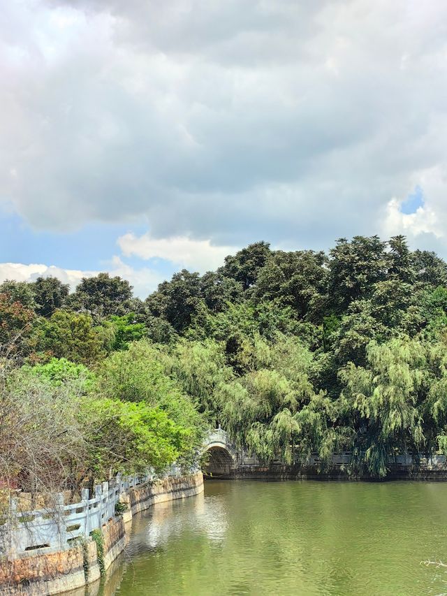 玉溪避暑之選：寧州公園。