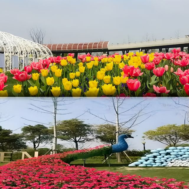 解鎖都市中的夢幻仙境。