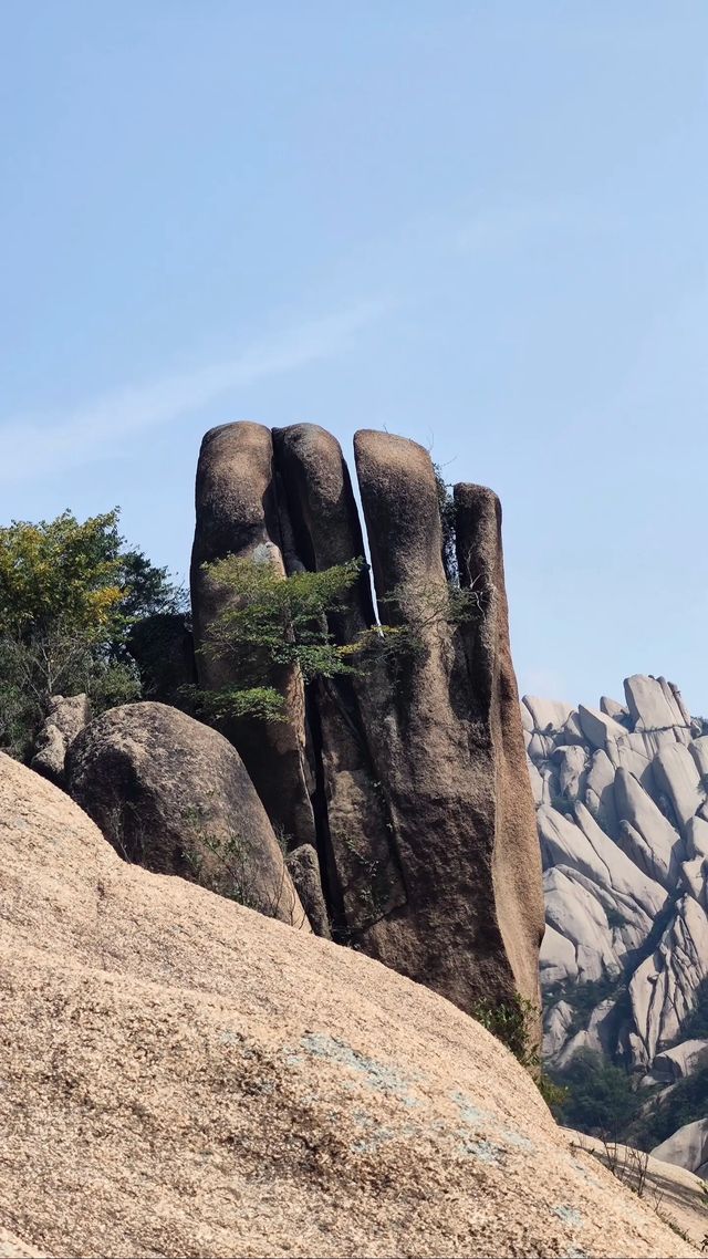 奉勸大家秋天千萬不要來嵖岈山！牛馬必看。