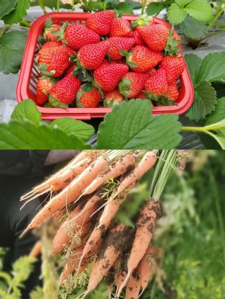 가족 호텔|이 호수 전망 객실은 정말 대단해요! 다시 오고 싶어요!。