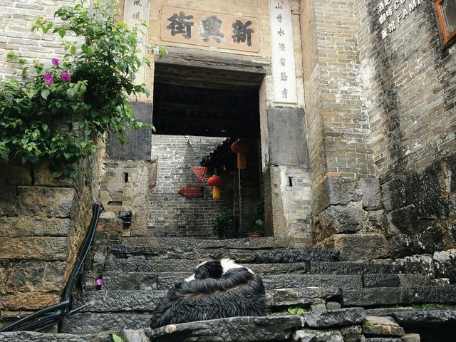 廣西昭平黃姚古鎮｜千年夢境，詩意棲居。
