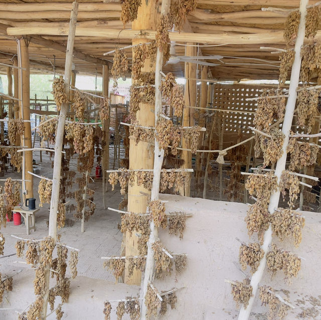 Step Back in Time in the Oldest Uyghur Village 🇨🇳