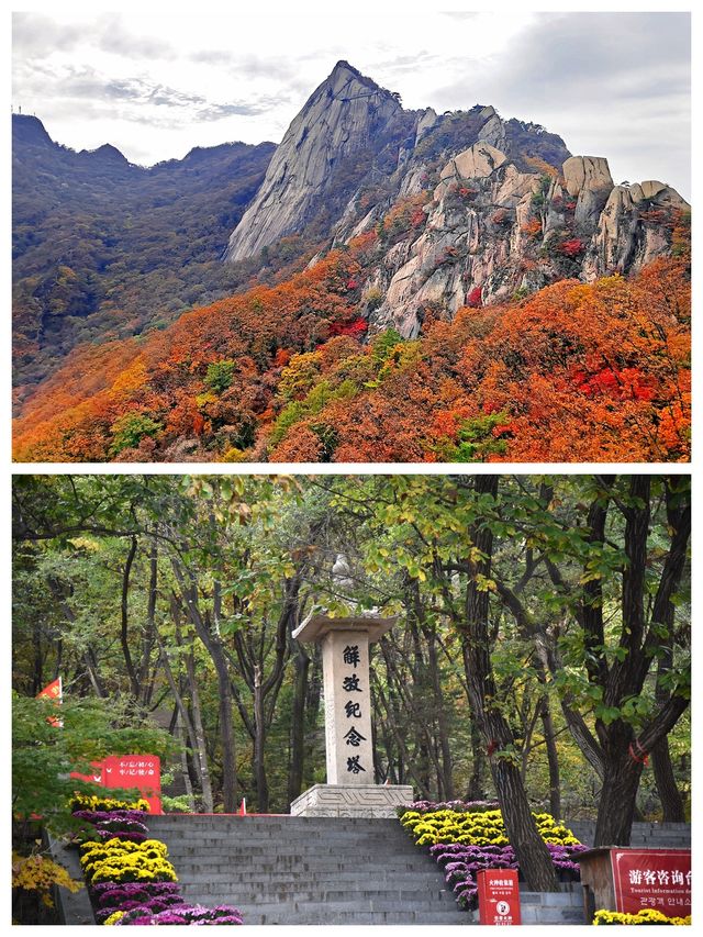丹東鳳城鳳凰山，秋賞紅葉漫山遍野，層林盡染色彩斑斕。