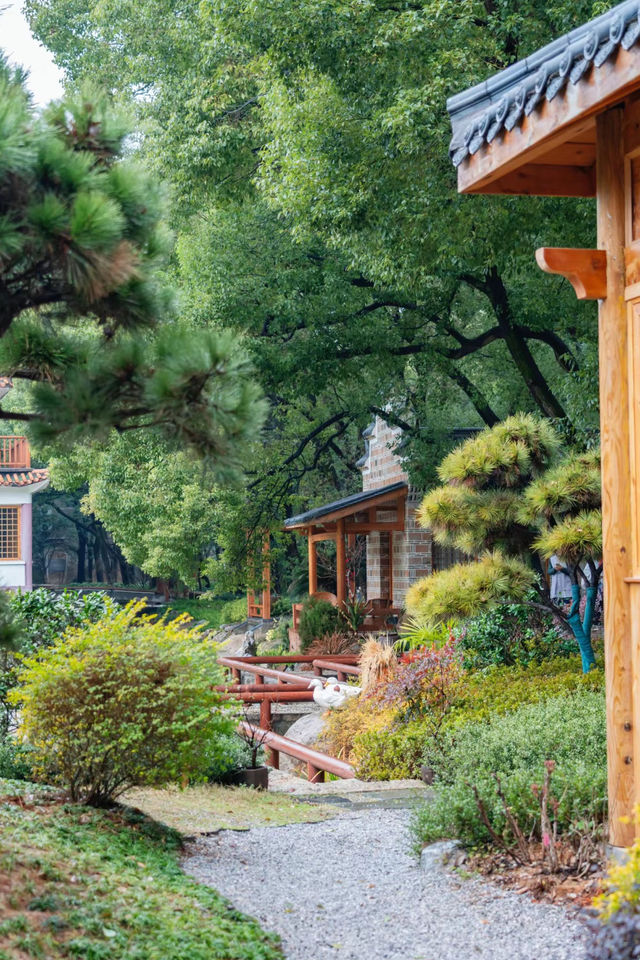 大隱隱於市！南昌最適合年輕人的寺廟——文泉禪寺。