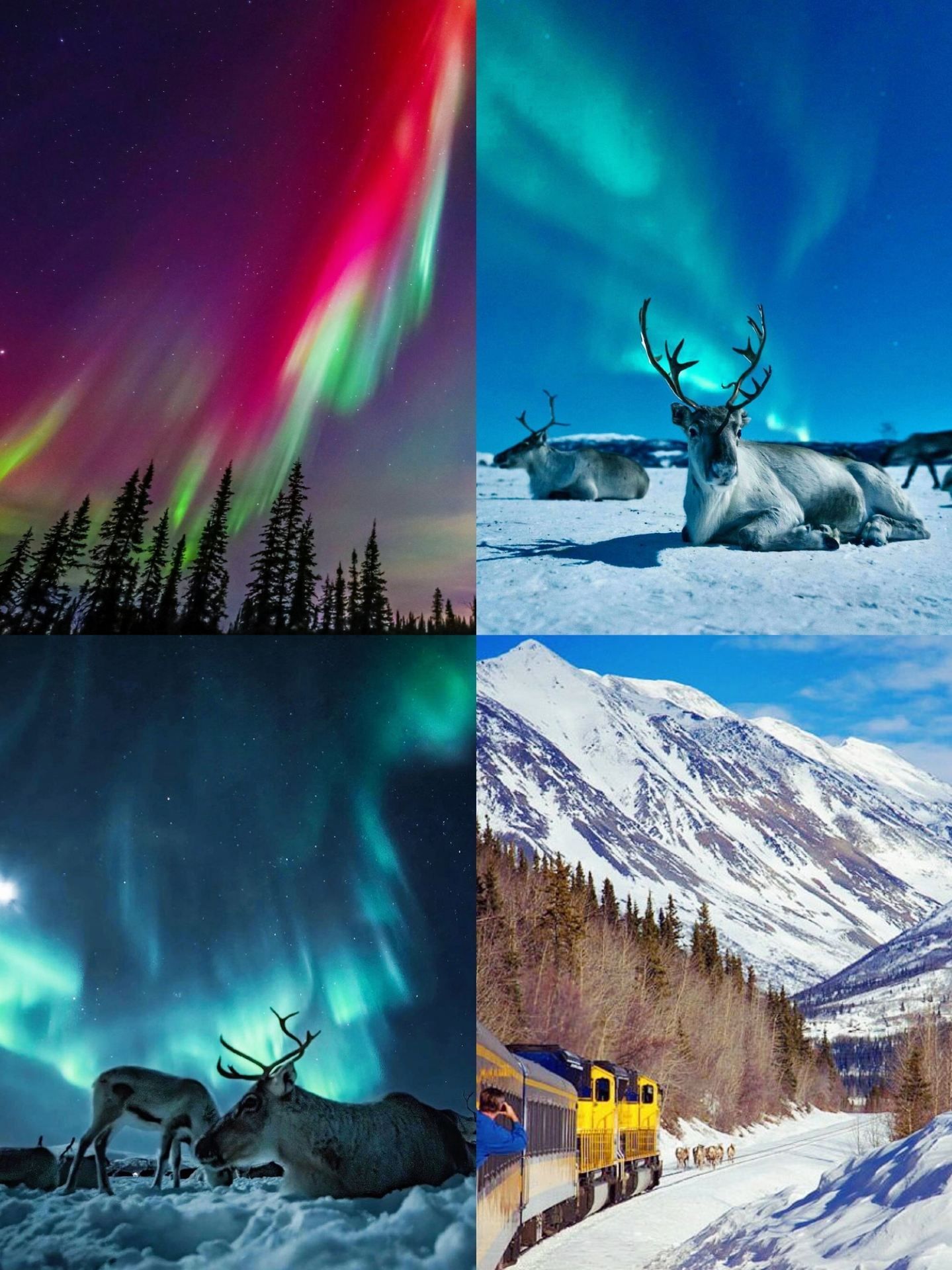 Jelajahi Anchorage: tempat keindahan alam bertemu dengan pesona perkotaan.