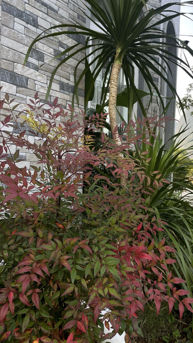 在陽朔住進山水城堡裏～。