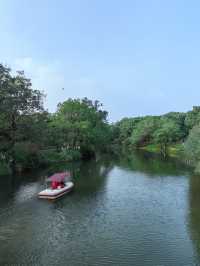 這個五星級公園也太好拍照太好逛了。