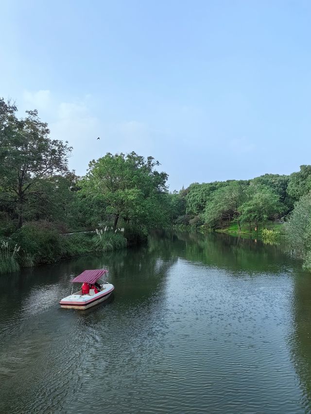 這個五星級公園也太好拍照太好逛了。