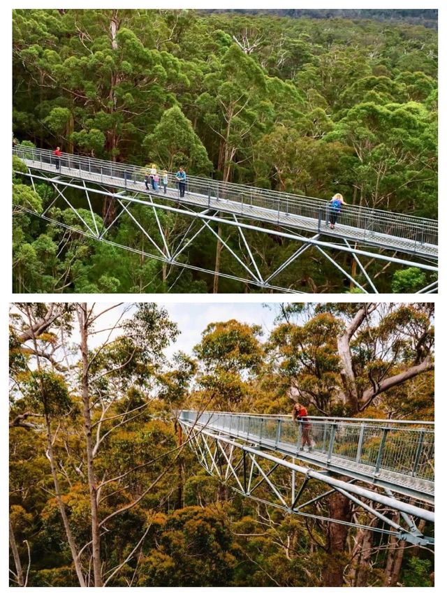 澳洲穆魯拉巴是一個充滿魅力的旅遊目的地。