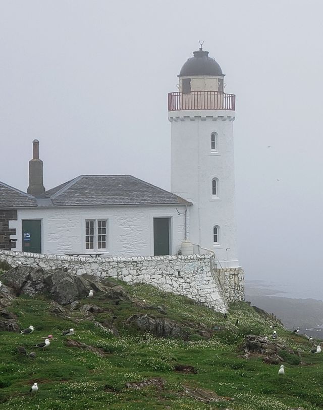 蘇格蘭五月島風景地貌。