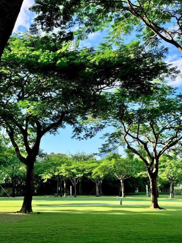 廈門真的看不厭系列之白鷺洲公園。