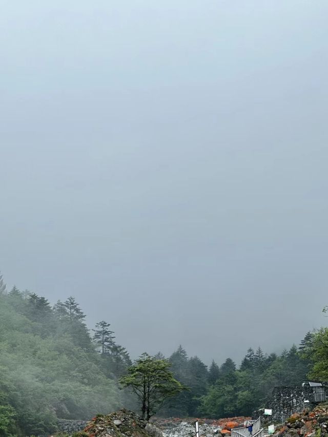 二郎山喇叭河美景。