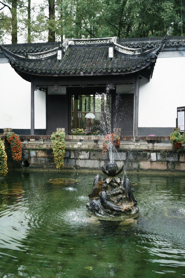上海1%人才知道的古典園林賞菊好去處！。