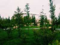Mesmerising Park of Zhengzhou University