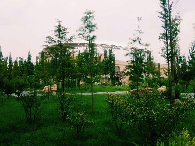 Mesmerising Park of Zhengzhou University